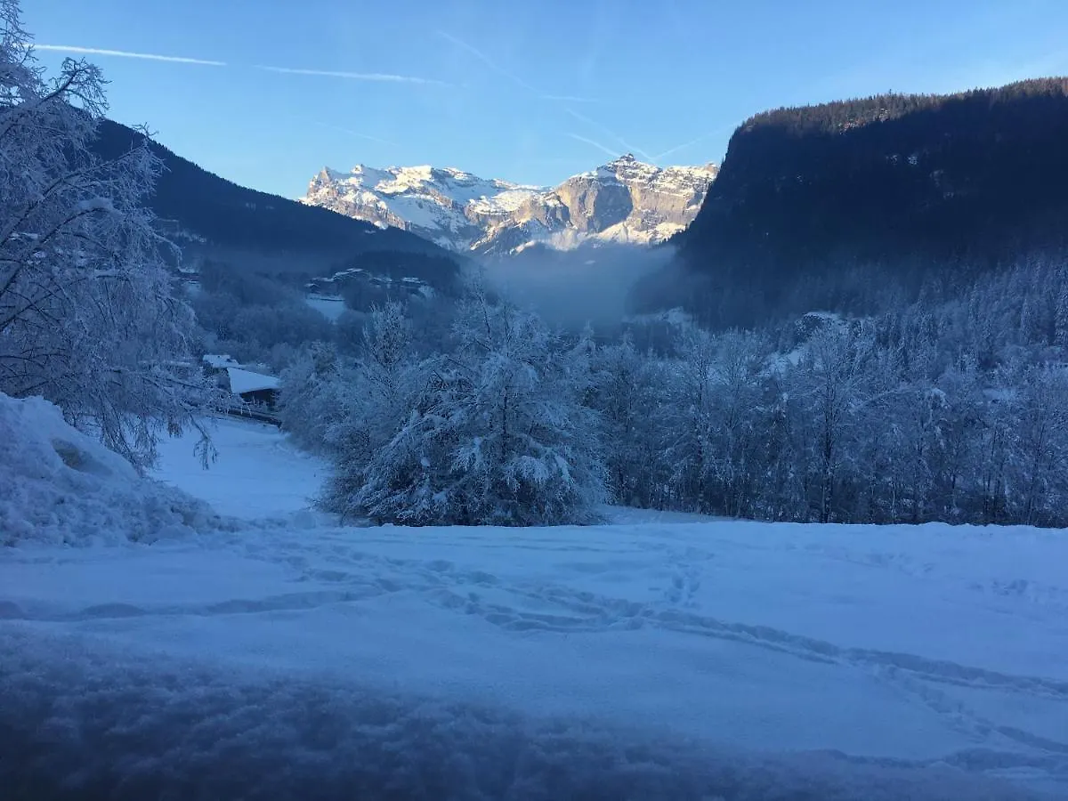 Vallee De Chamonix Au Pied Des Pistes Les Houches