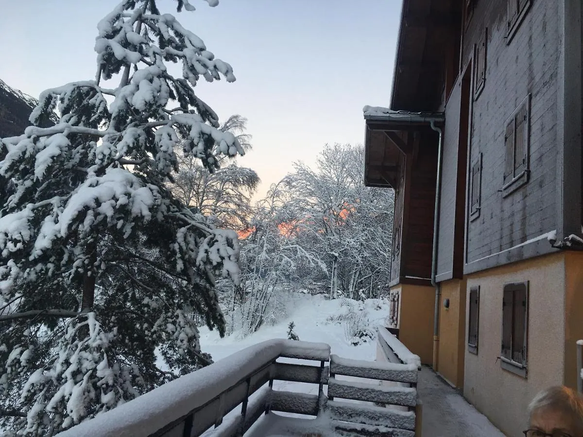 Vallee De Chamonix Au Pied Des Pistes Les Houches France