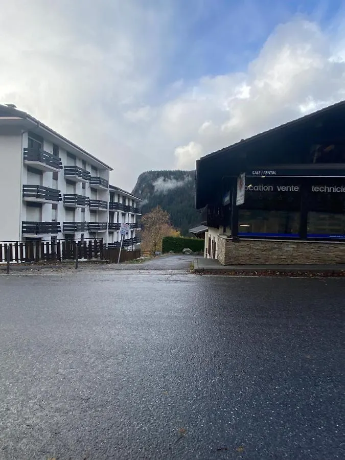 Vallee De Chamonix Au Pied Des Pistes Les Houches France